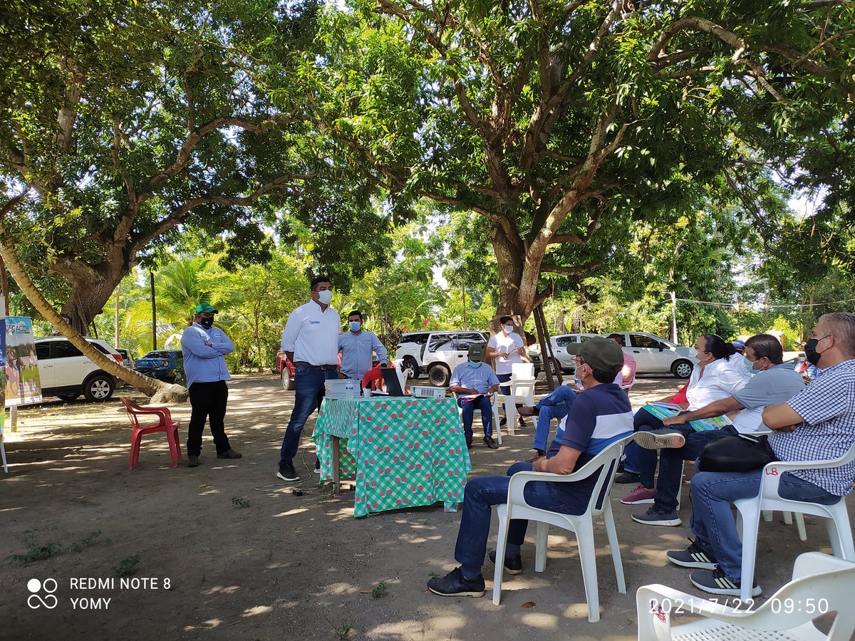 GANABAS2's tweet image. De la mano con #agrosavia #fedegan #codegacor y #ganabas brindándole capacitación a nuestros ganaderos de nuestros municipios