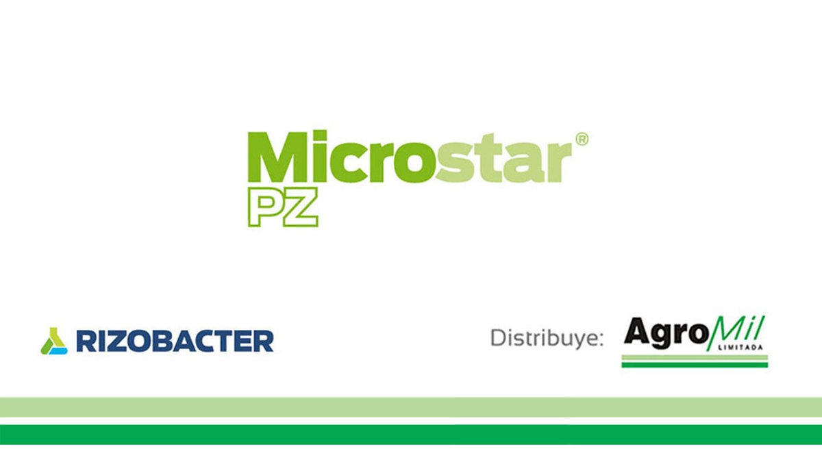 agromil_ltda's tweet photo. En Establecimiento "El Daka-Calmer", #CebadaGrace con #MicrostarPZ 20 kg/ha
#MicrostarCebada #RizobacterUruguay https://t.co/zVpdLYCHzR