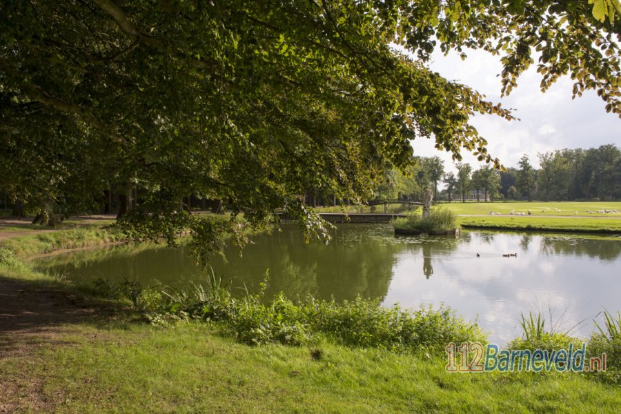 Blauwalgen aangetroffen in vijver Koeweide, #Barneveld. 112Barneveld.