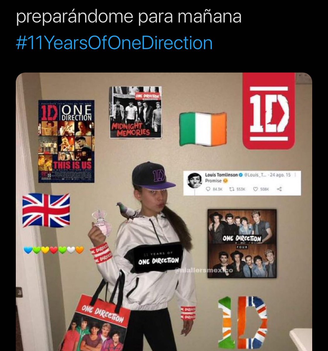 abbiieeaz's tweet image. Si seré 💚💙🇨🇮❤️💛
#directionersstillgoingstrong #wearedirectioners #directionersbreaktheinternet