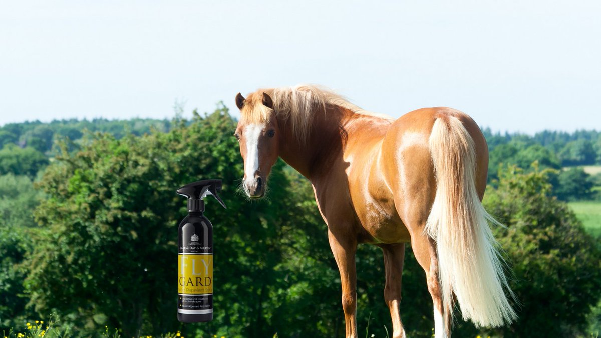 The Equine Warehouse tweet media