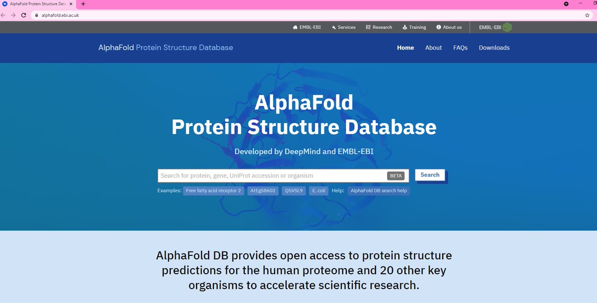 The incredible @Deepmind  #AlphaFold protein structure predictions for the human proteome and 20 other model organisms are accessible to anyone in a fabulous #openaccess database the #AlphaFoldDB hosted by <a href="/emblebi/">EMBL-EBI</a> alphafold.ebi.ac.uk
