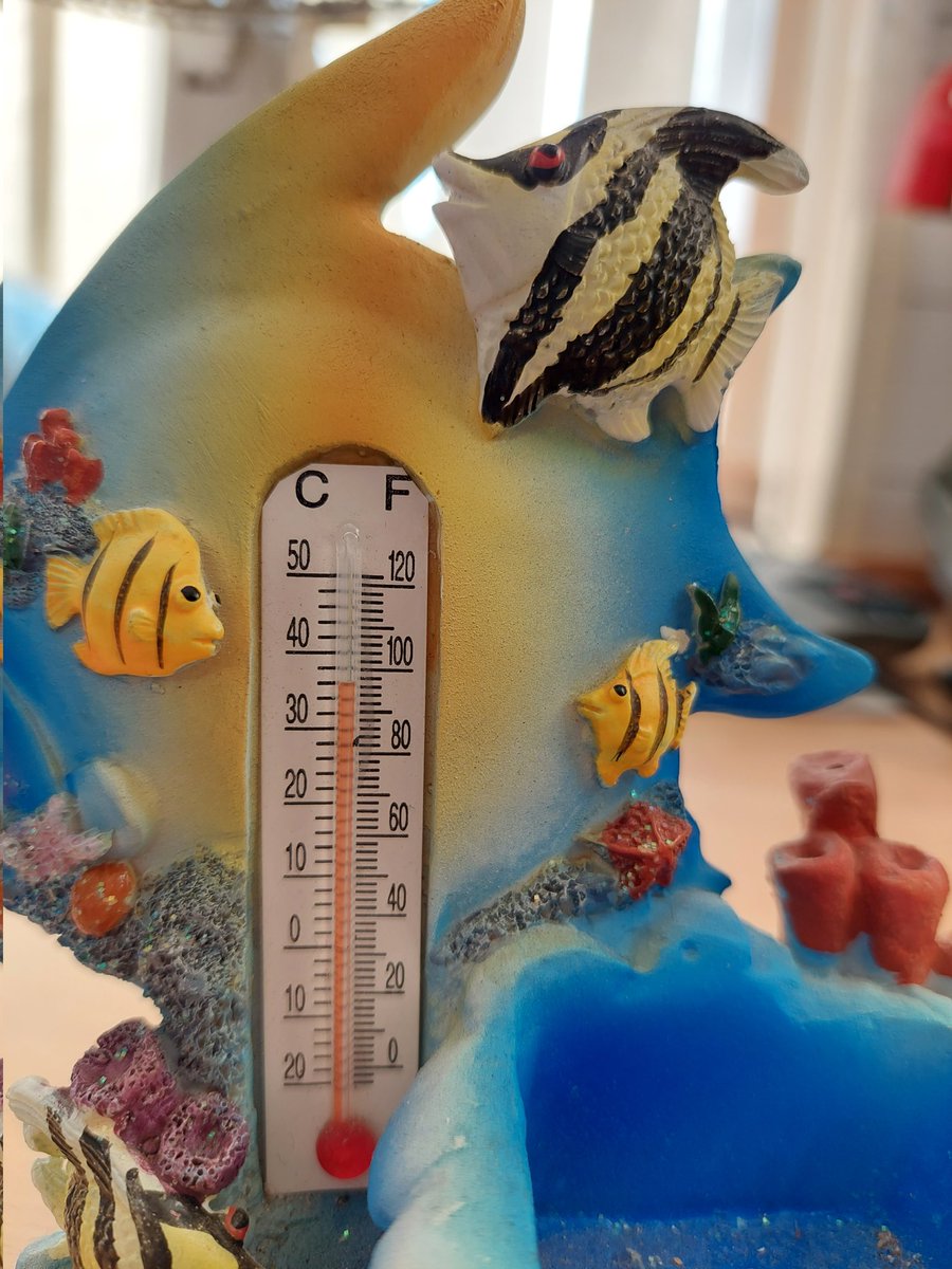Janeywhitt's tweet photo. It 'aint half hot in the cardiac rehab office! @NorthMcrGH_NHS #melting https://t.co/sVRO22Bggq