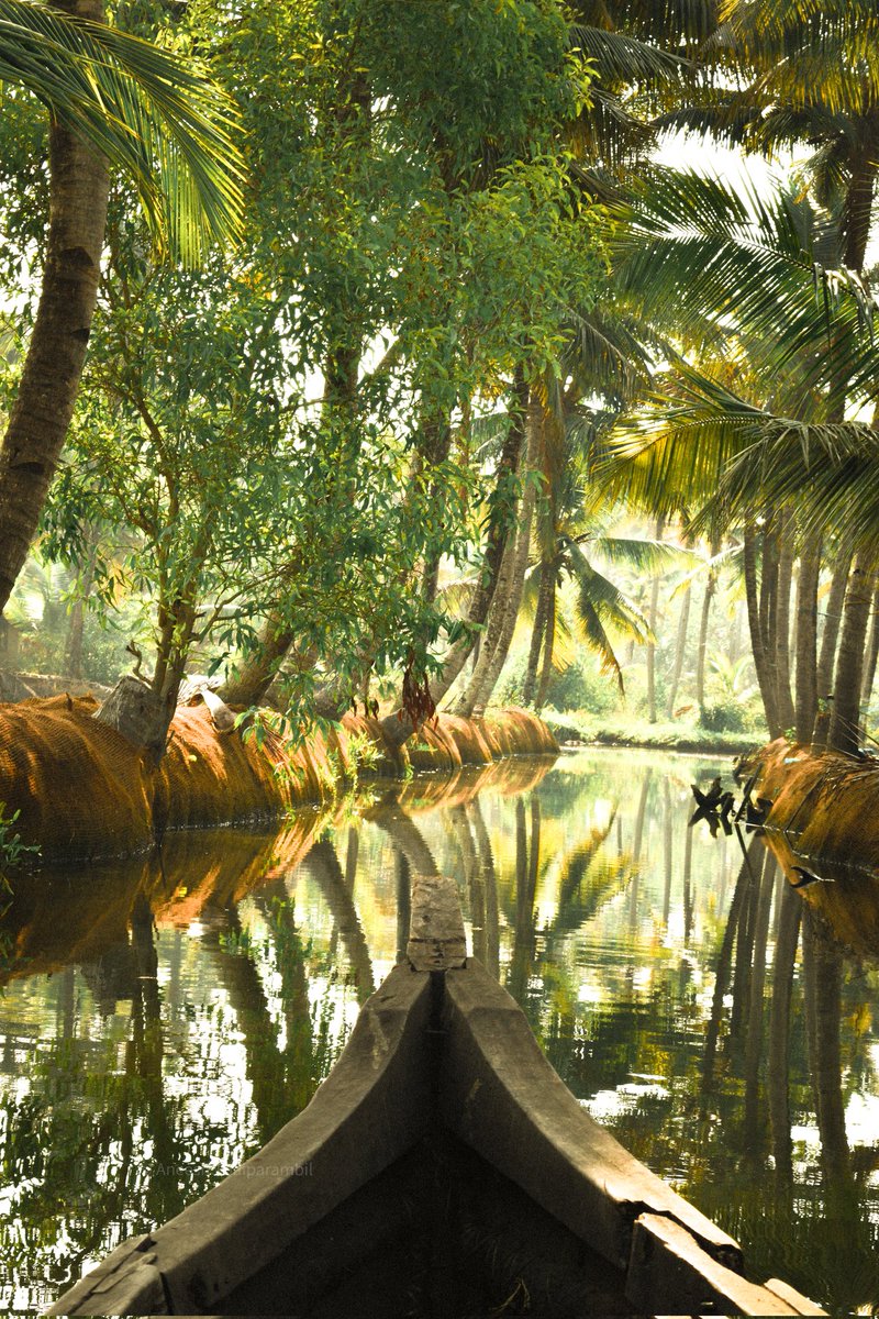 Canoe ride

#Kerala #keralatourism #green #coconut #EnvironmentDay #boat #munroeisland #kollam #tripadvisor #trivandrumvibes #canoe #sunrise #photography
