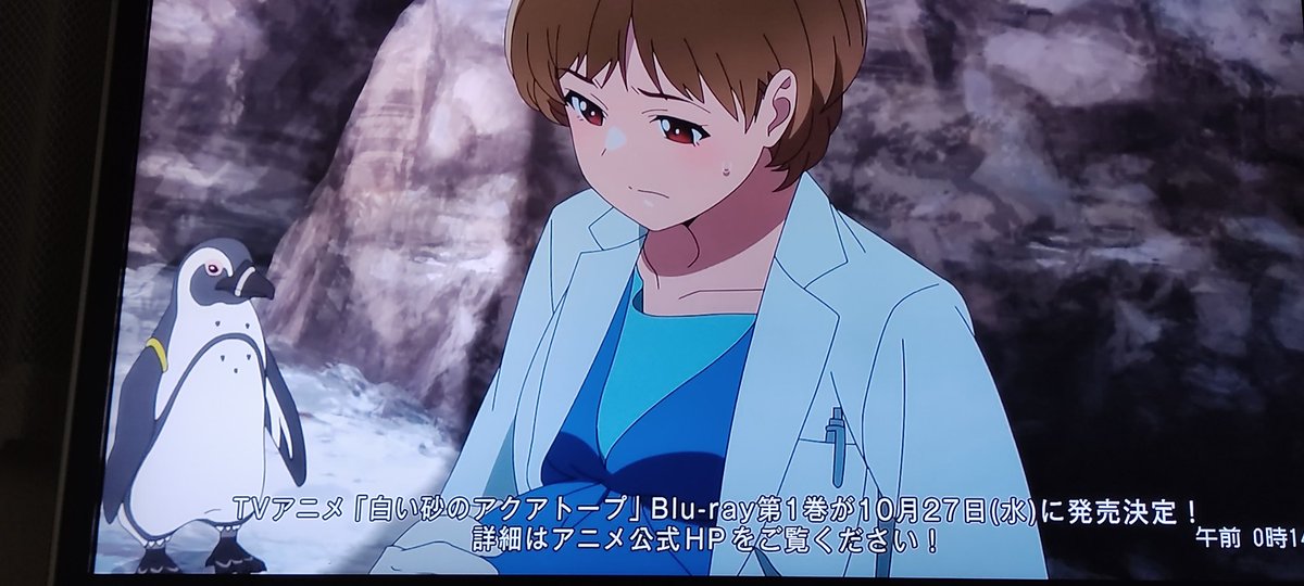 ぽてチノ ライアー ライアーアニメ化企画進行中 Studyには で感謝 No Twitter 白い砂のアクアトープ第３話リアタイしたがペンギンのチョコちゃんの体重測定で病気が見つかり獣医の竹下先生に見てもらい安心したのもつかの間竹下先生の陣痛が始まりそして無事に