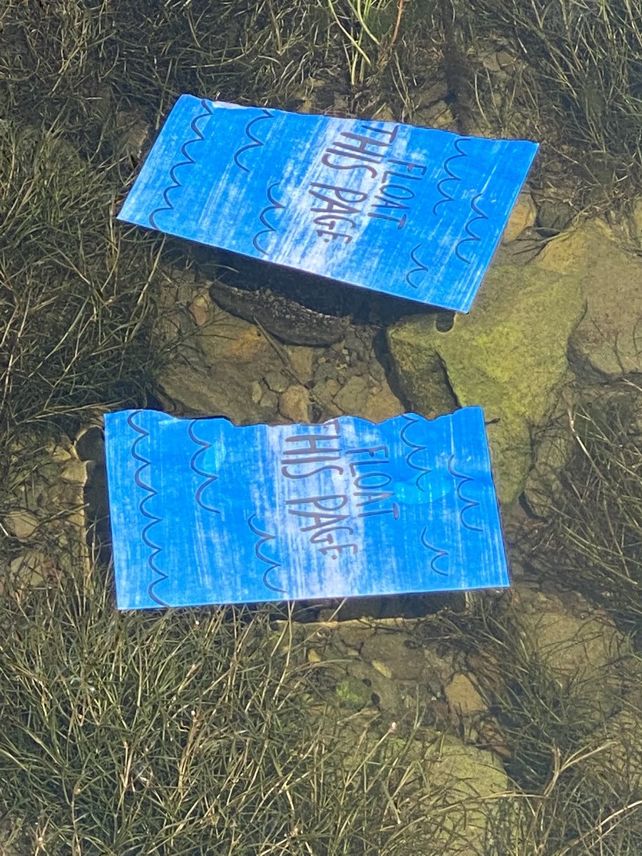 Elise Moss tweet media