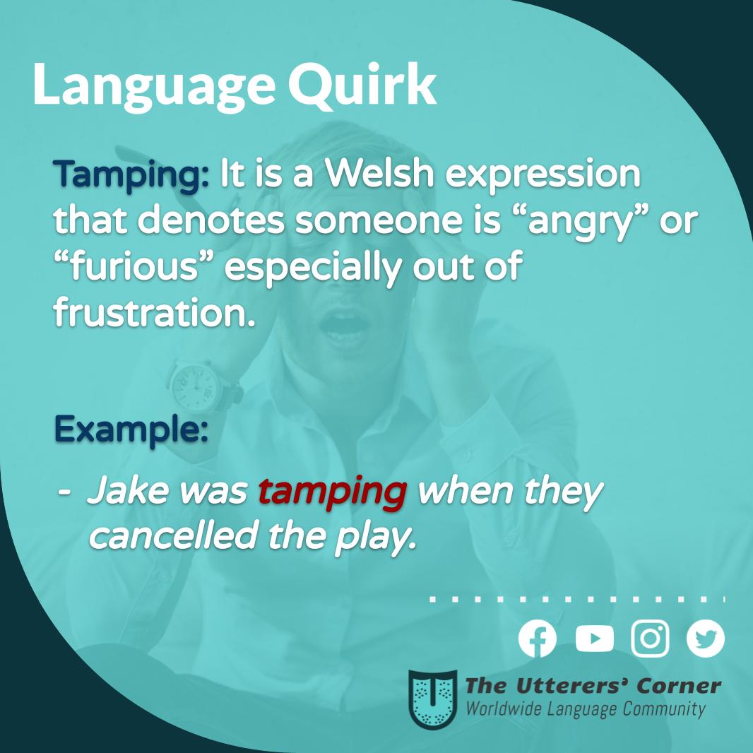 😤
•
Wanna share a word with us? Send it on a DM with an example and the origin. 😎
•
•
•
#theuttererscorner #languagequirks #Englishonline #Inglésenlínea #tamping