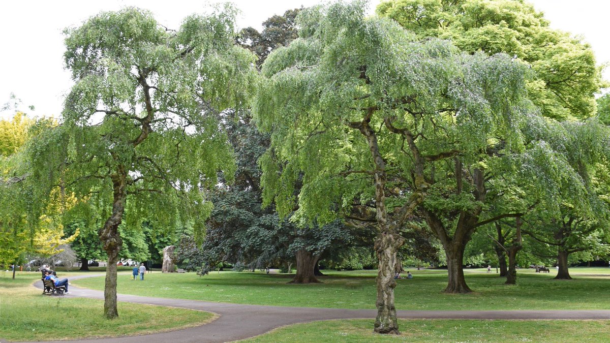 BathnesParks's tweet photo. Look at all this litter!!!....oh…there isn't any…it's been lovingly picked up by numerous altruistic people out in the community. You are all our #ParkHeroes in #LoveParksWeek and beyond #PeoplePower #KeepBritainTidy - pics of clear parks https://t.co/S3t4UKomJ6