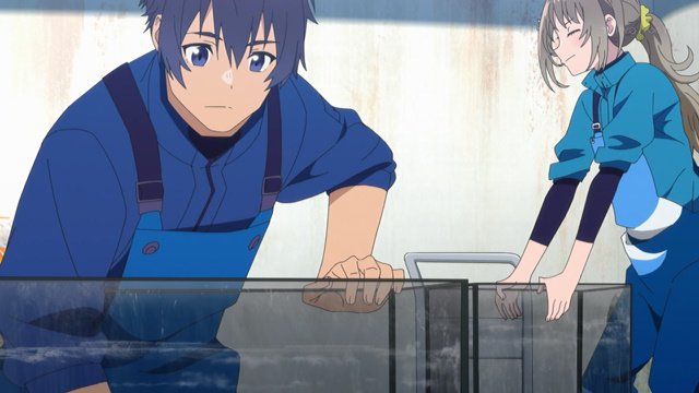 ゲイル Auf Twitter 白い砂のアクアトープ 第3話 海は命の源とも言われるように 生き物を預かるからこそ かかる重圧に悩まされるくくるを描いた印象 しかし 周りを頼ること 改めて命を預かる大切さを学んだようですね 風花はやはりペンギンにトラウマがあるよう