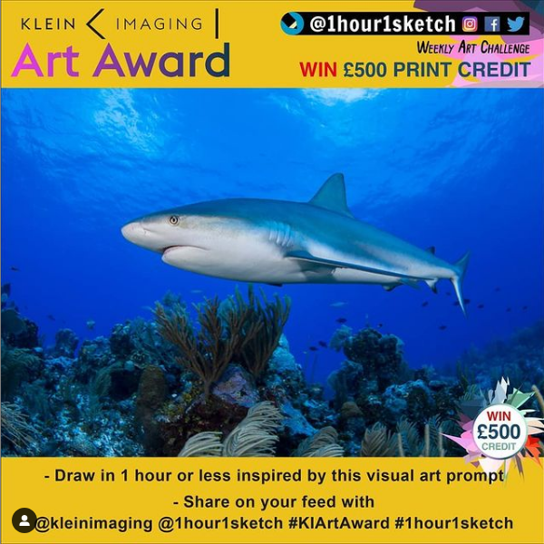 OswaldRaynaud's tweet photo. Nouveau challenge !! 1 heure, 1 dessin avec @1hour1sketch et @kleinimaging Pour ce beau requin à l'aquarelle et au bic : 30mn #1hour1sketch #KIArtAward #reqin #shark #animal #aquarelle #watercolor #sketchbook #illustrationdrawing #illustration_daily #sketchaday #animalartwork https://t.co/krkLKTOkeB