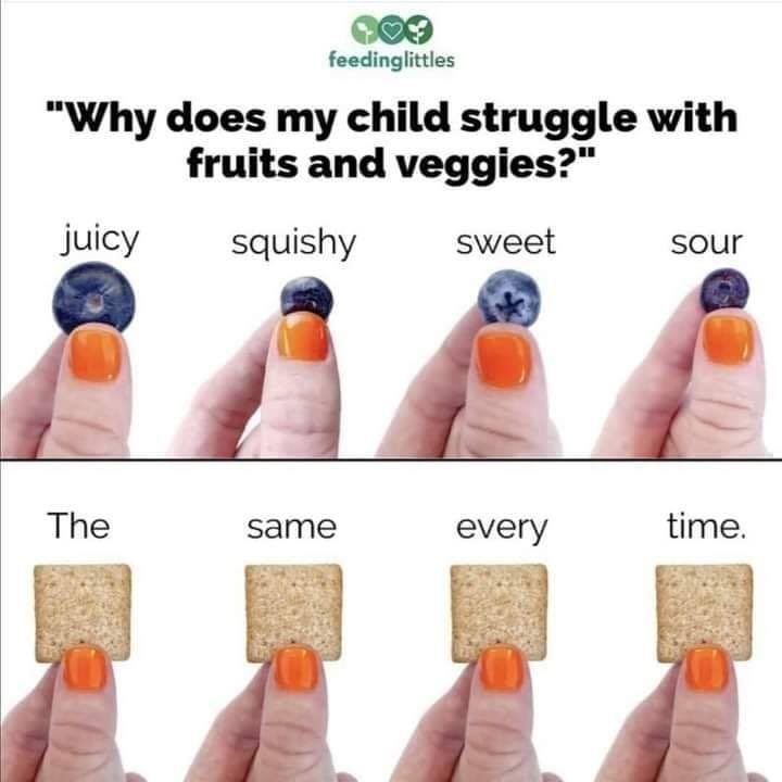 There’s an enormous difference between a picky eater and a sensory eater! 

#autism #autismeducation
