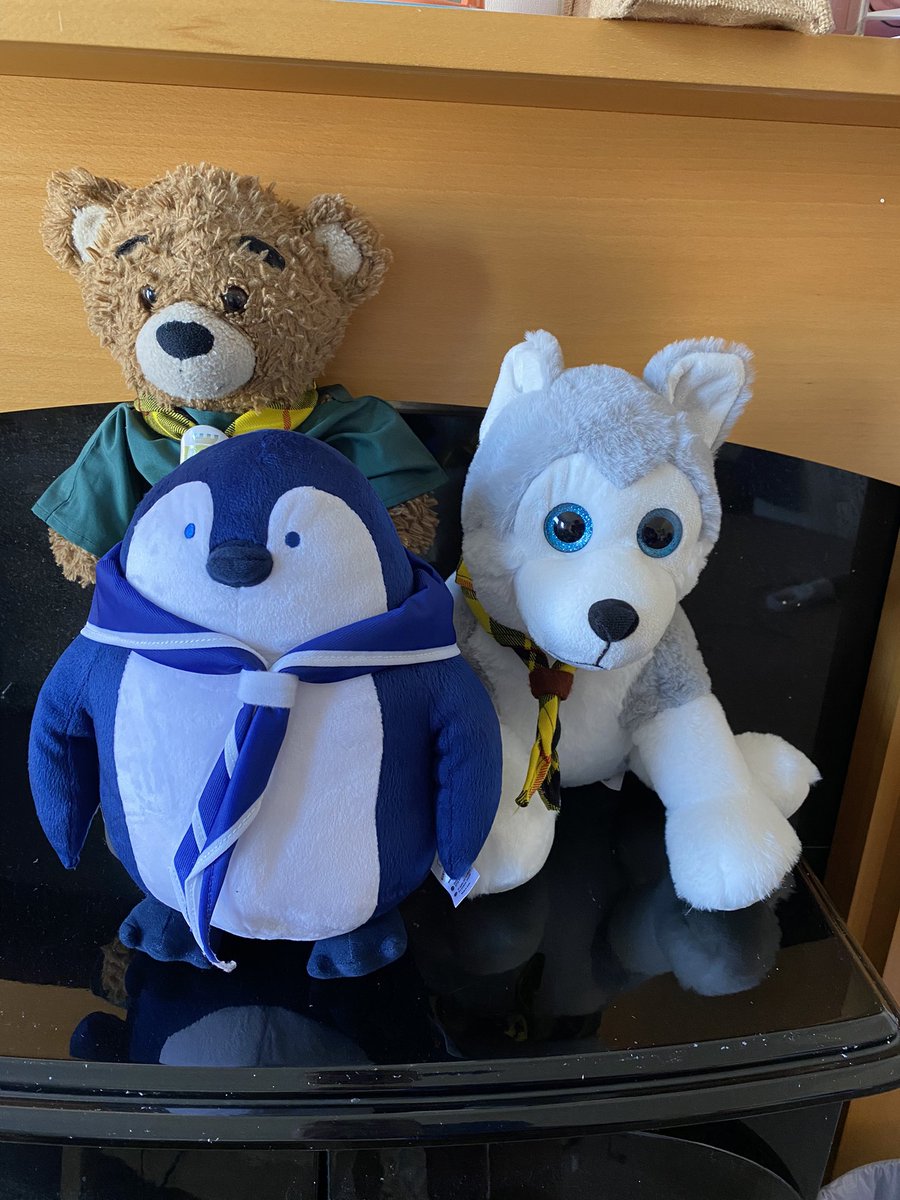 Laura Mills tweet media