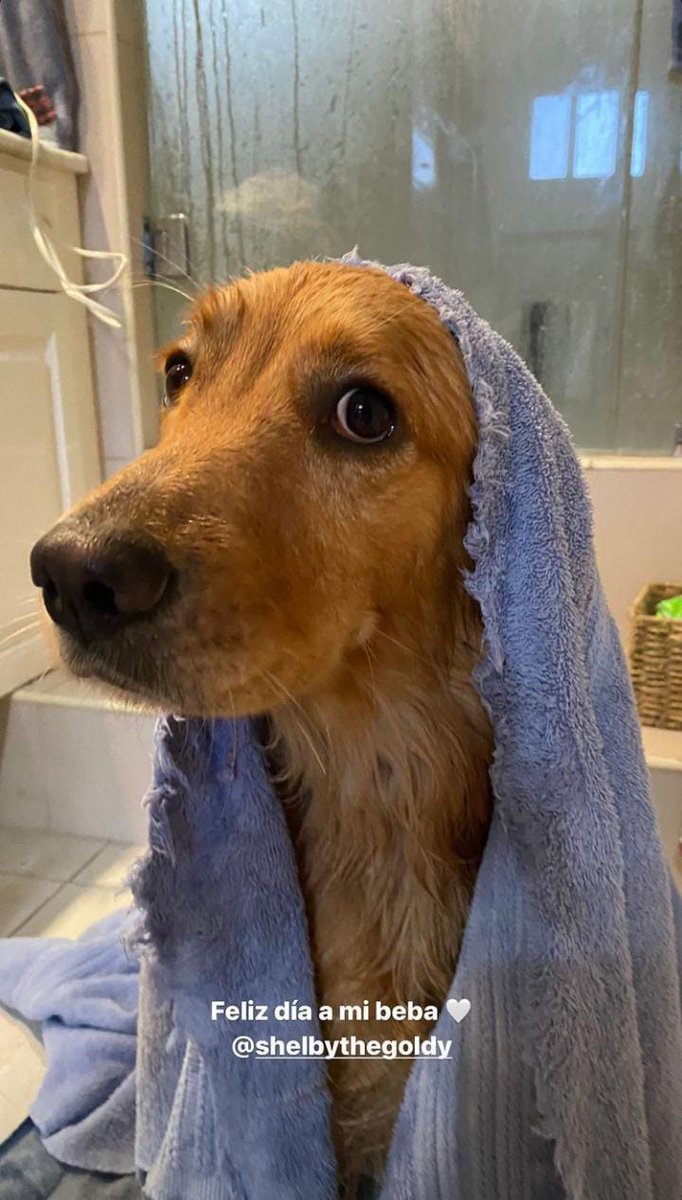 SHidalgoRoutine's tweet image. 🗣️| &quot;Feliz dia para minha bebê&quot;

📲 Sabina Hidalgo Via Instagram Stories