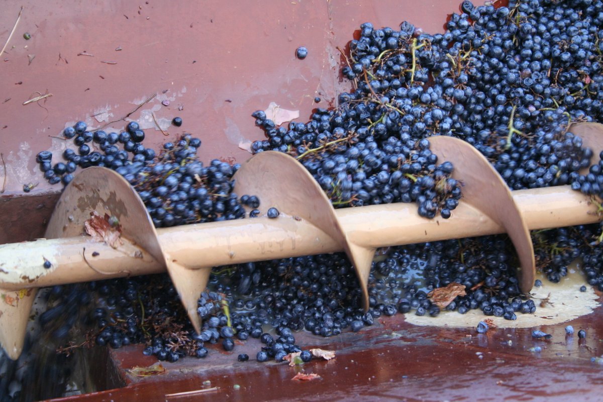 Manchester Wine Sch tweet media