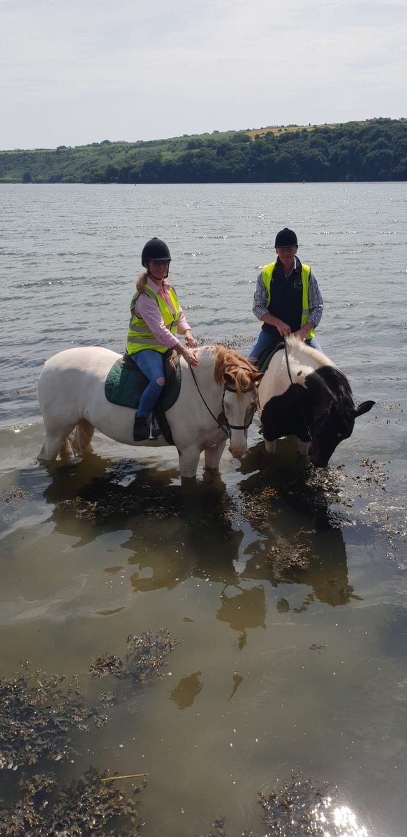 Paulahynes4's tweet photo. What an amazing afternoon again #kinsaleequestriancentre , we hadnt been horse riding for years it was so nice to get back in the saddle again
#horseriding #makingmemories #backinthesaddle #qualitytime #ministaycation https://t.co/ki8ub8RTlU