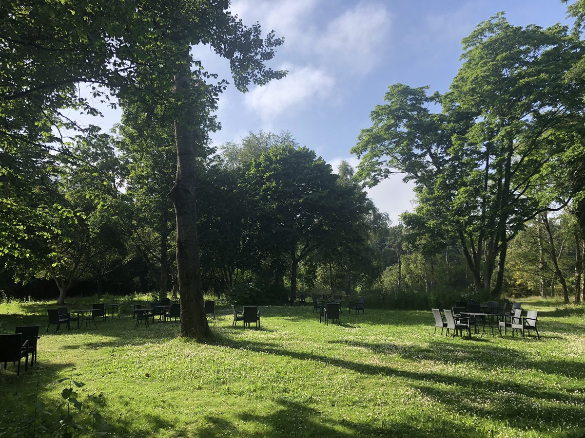 StABotanics's tweet photo. It’s heaving in town. Escape the pavements for a moment’s stillness and beauty in the Gardens, there’s no better spot in the early evening sun https://t.co/0cTwEPKURh