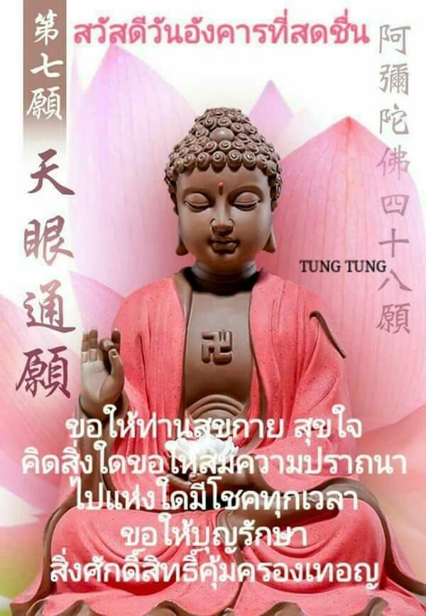 popopeew's tweet photo. @lolitascak3 https://t.co/3NRFuM5aDf