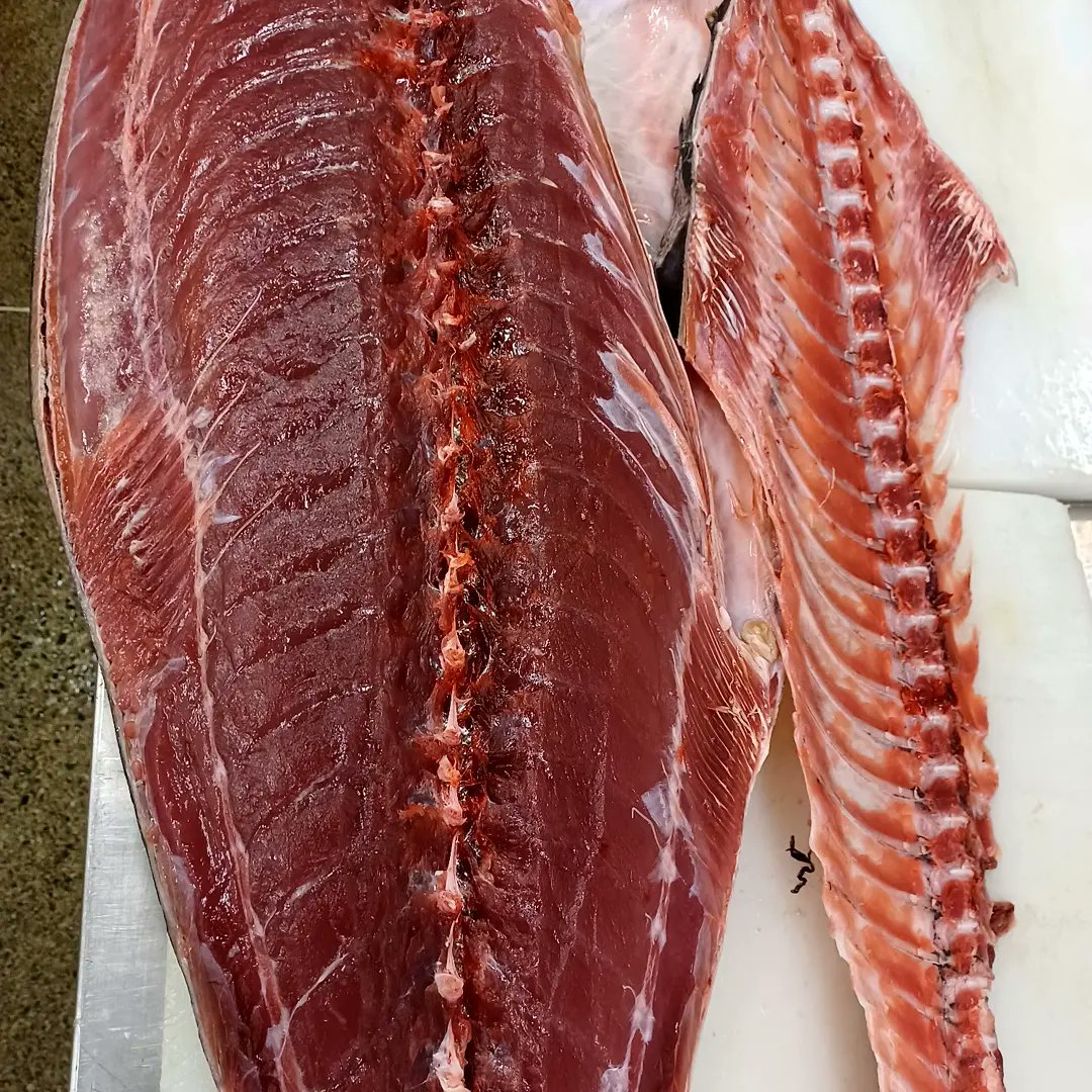 Naga おはようございます 先ずはマグロおろしてっと 今日もハリキッテ 右がミナミマグロで左はバチマグロです 鮮太 魚屋 浜松 浜松市 浜松マグロ 生インドマグロ 生ミナミマグロ 生バチ 沖縄 ニュージーランド 浜松グルメ 浜松観光 Naga おはようございます 先ずはマグロおろしてっと 今日もハリキッテ 右がミナミマグロで左はバチマグロです 鮮太 魚屋 浜松 浜松市 浜松マグロ 生インドマグロ 生ミナミマグロ 生バチ 沖縄 ニュージーランド 浜松グルメ 浜松観光