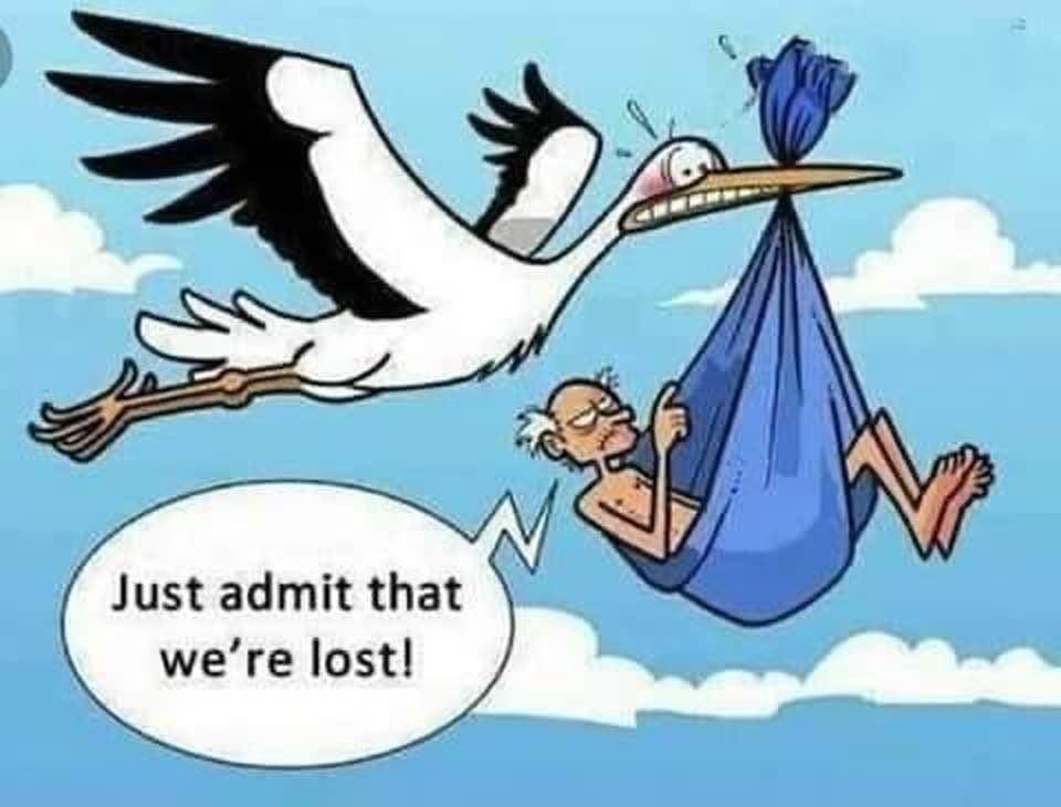 chaplainlc's tweet image. It has to be a MALE stork! A female would have already ask for directions!!