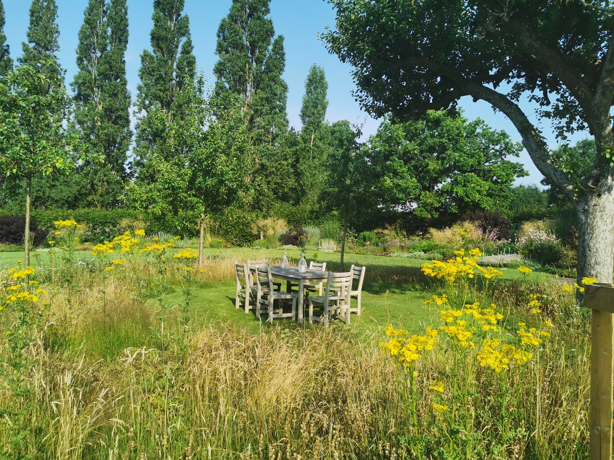 SPajwani's tweet photo. Another hot but lovely day and a visit from @tilehurstha and @Poll100. Too hot to sit here but really pleased so many loved the long grass areas. Ragwort looking particularly good but rather worried as to where our Cinnabar moths and their caterpillars have gone??? https://t.co/pL5lyesmmZ