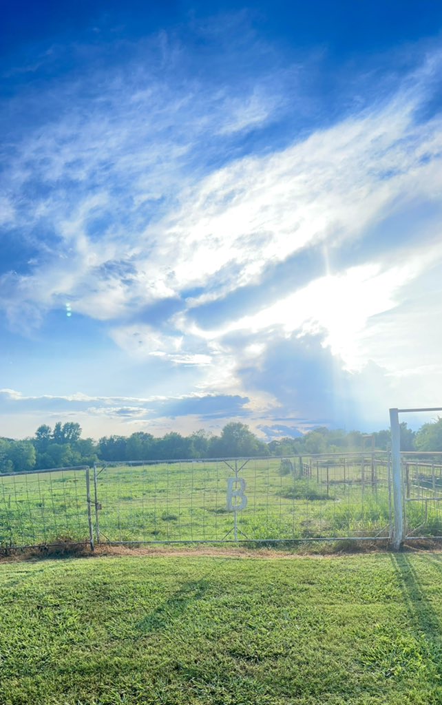 🔅Shay_B🔅 tweet media