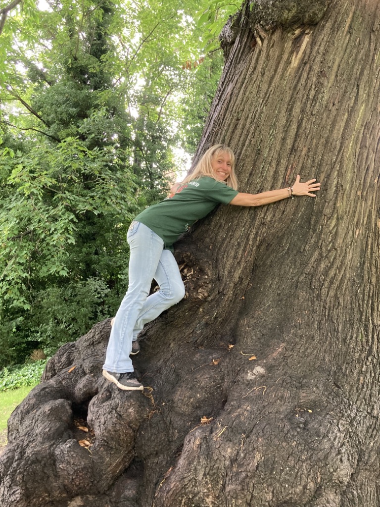 Michaela Strachan tweet media