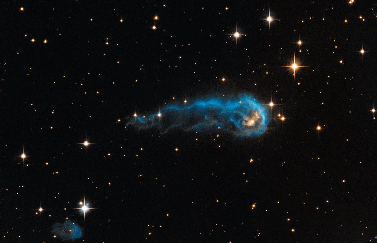 ⭐ or 🐛? This photo was taken by @NASAHubble #OTD in 2006 of Protostar IRAS 20324+4057 which is in the process of growing from the dust and gas around it. Surrounding stars are blasting it with UV radiation, pushing the gas and dust into a caterpillar-like shape.