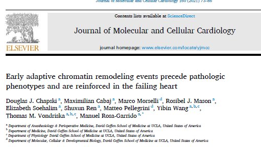 Our latest work in cardiac #epigenetics has been published. Thank you, team! #JMCCardiology #ISHR #UCLAAnes