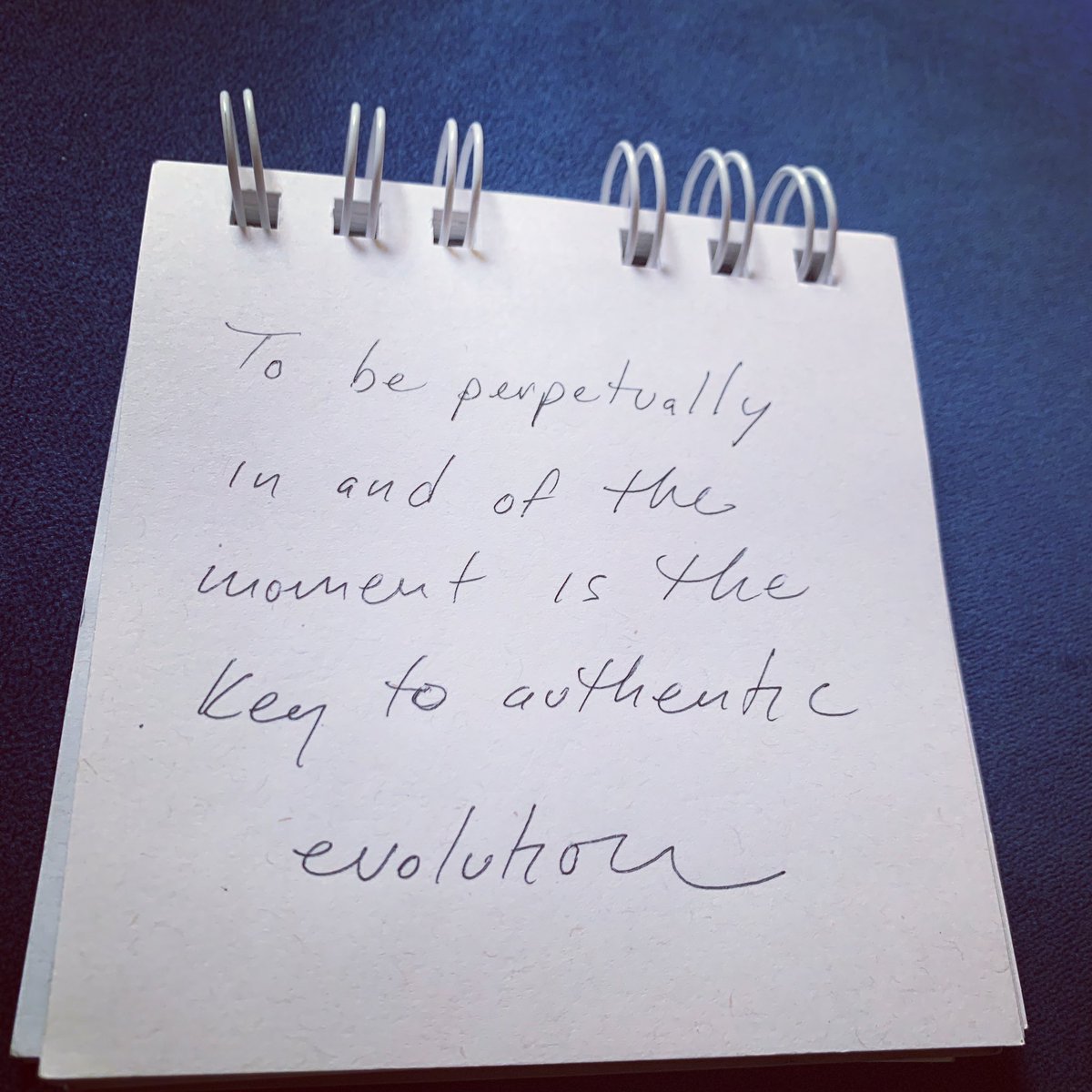 Kristen Lee Sergeant tweet media