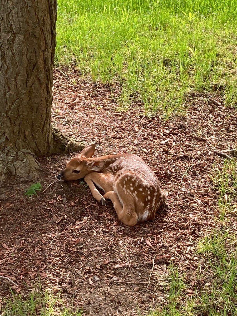 OneontaResLife's tweet image. All of us here at SUNY Oneonta Reslife are looking forward to having all of you back!