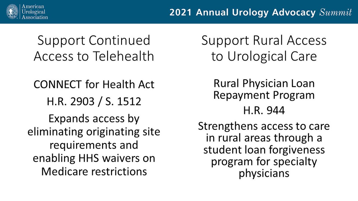 Weren't able to join us for #AUASummit21? Here's your chance to do your part! Click to urge your legislators to:

🖥 Sustain telehealth access after the pandemic p2a.co/yxi0lee

🏞️ Support rural access to urological care p2a.co/ykZDG7v

Thanks for your advocacy!