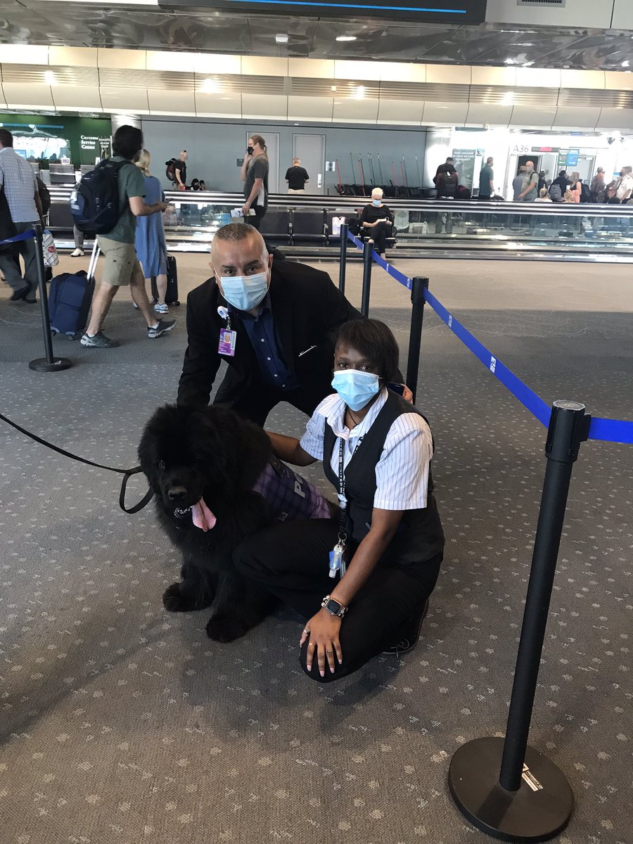 BorisCanoMCO's tweet photo. Good to see &amp; being able to pet Matilda again on the A-concourse🐕‍🦺We love her⭐️@weareunited #dencs https://t.co/fcgsut3VFo