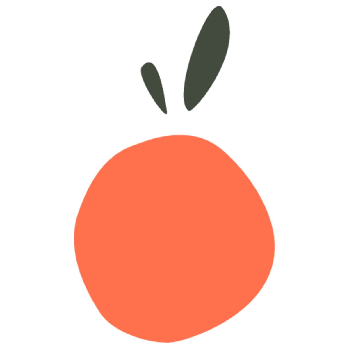 1 - Lucky Orange Application pour pouvoir enregistrer et analyser le comportements des utilisateurs du sites.