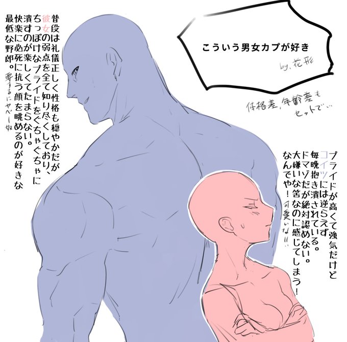 こういう男女カプが好きでs 