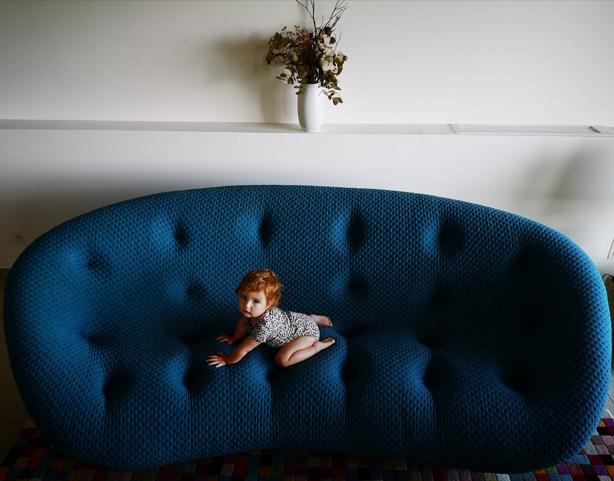 davidjpierre's tweet photo. @ligneroset #cutiepie #ploum https://t.co/kg7hWtlixe