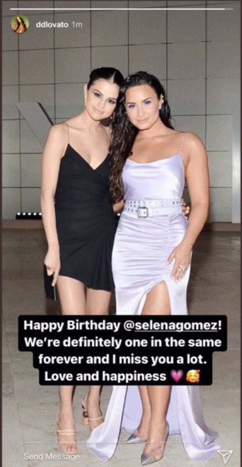 Demi Lovato wishes Selena Gomez a happy birthday.  