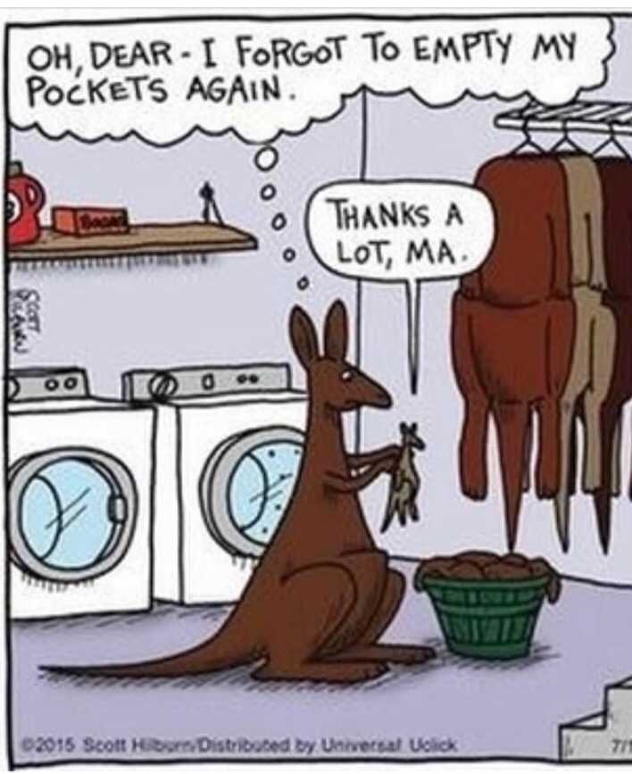 TheCleaneryABQ's tweet photo. Don't forget to check those pockets! You never know if something important might end up in the wash! 😆 #LaundryHumor #TheCleaneryNM https://t.co/vCJrg9hSE0