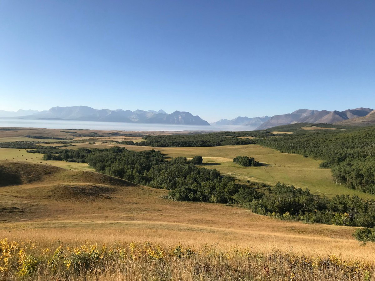 DaleALeckie's tweet photo. Did you know that Waterton National Park is “where prairie meets mountain”. Ask yourself – where are the Foothills? https://t.co/ZfwkYAOqti @tourismjasper #BucketlistAB @TravelAlberta   @RoyalAlberta  #explorealberta  #travelalberta #Rockymountains #Canadianrockies #Canada https://t.co/VN5jPAIGTz