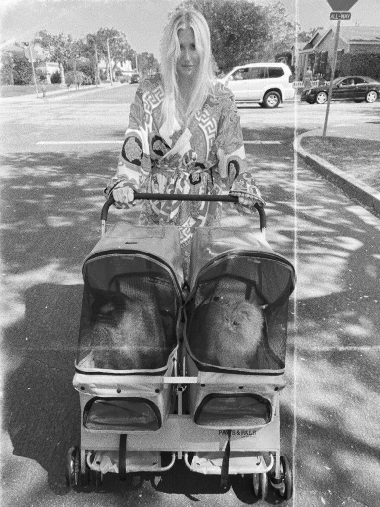 I am THAT cat lady 🐈🐈‍⬛