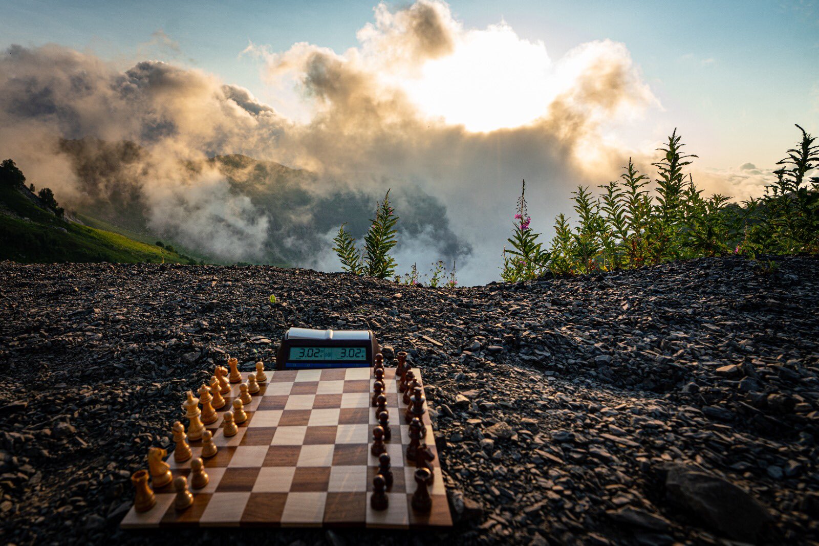 World Chess - ⛰ Dina Belenkaya and Adhiban Baskaran found