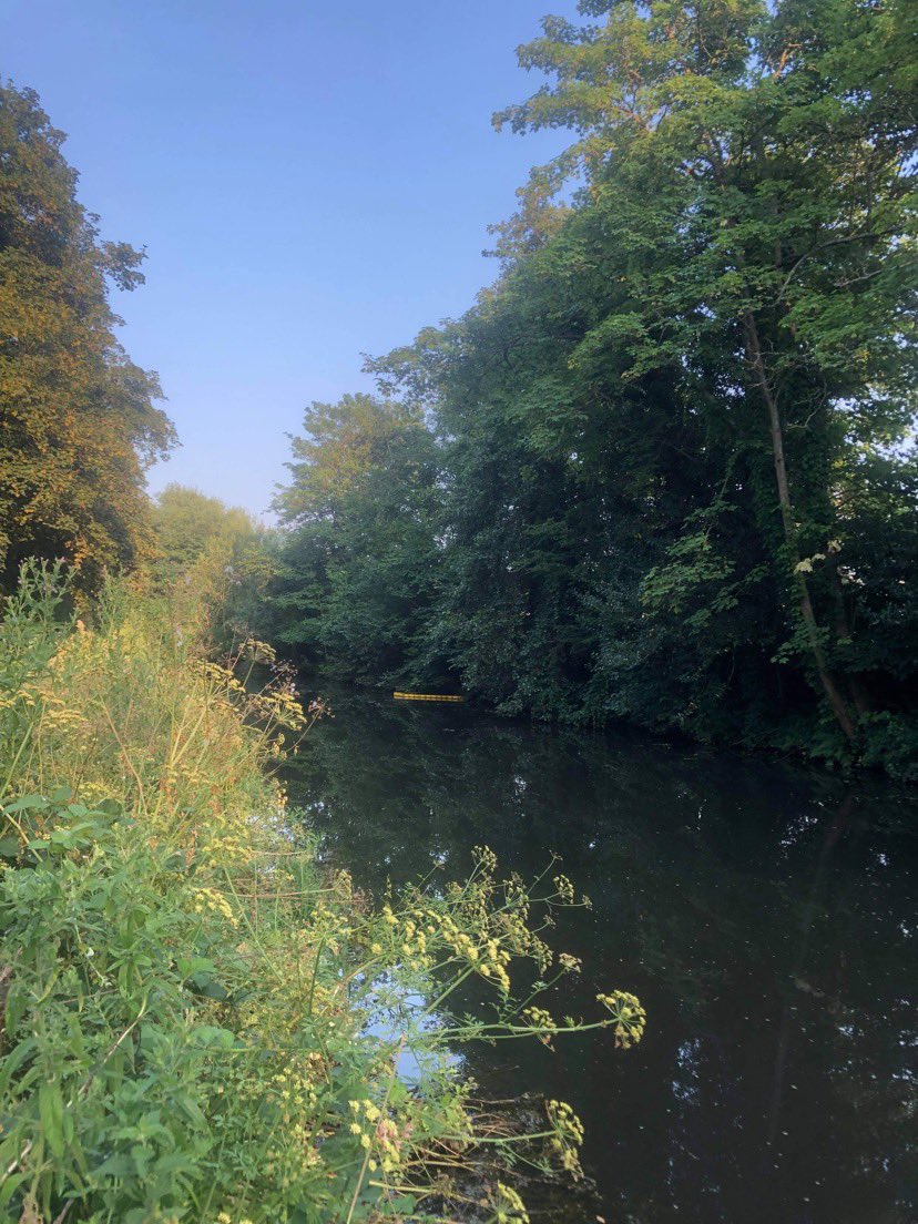 SarahJSpall's tweet image. A tough run this evening - was rather warm for C25K week 8 but the @WellesleyRunner team pulled me through &amp;amp; made sure I was ok when I went over on my ankle (it’s all good) . Definitely cooler along the canal. #MercerActive #TeamMercer #TeamNomads #RATW