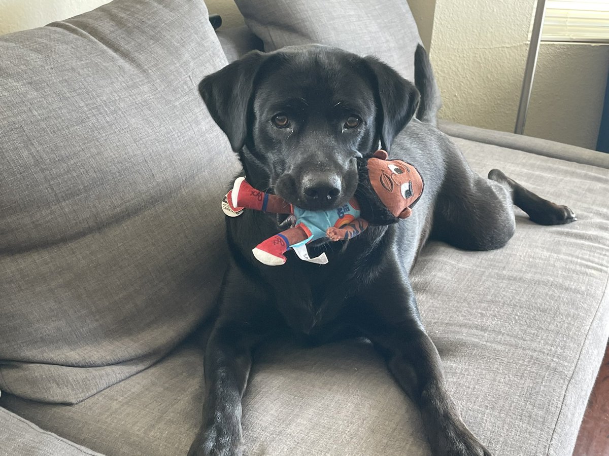 PuppyMagnolia tweet media