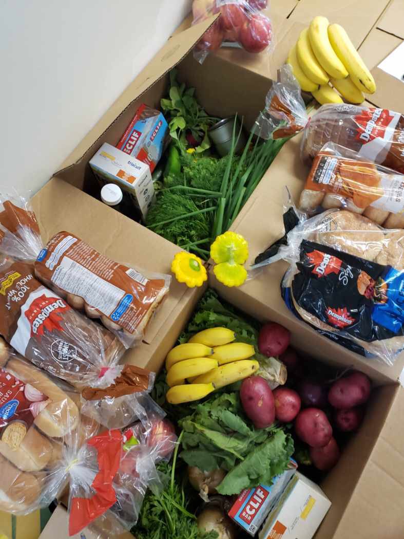 rdcLRSD's tweet photo. Fresh Feast Boxes this week are full of beautiful fresh veggies for families to enjoy.  #RDCStrengthInCommunity @louis_riel_sd https://t.co/qQr3rR6d3F