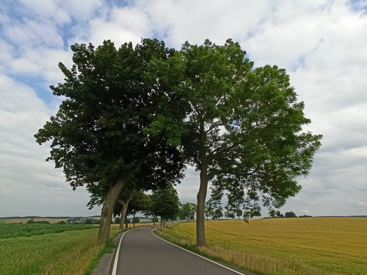 walkforeurope's tweet photo. #walkforeurope #freiberg #frauenstein
#germany #EU #europeans #europeancitizens #europeancitizens #unitedindiversity #bettertogether #strongertogether #walk #europeanwalk #walking https://t.co/DhQg5Ye4U9