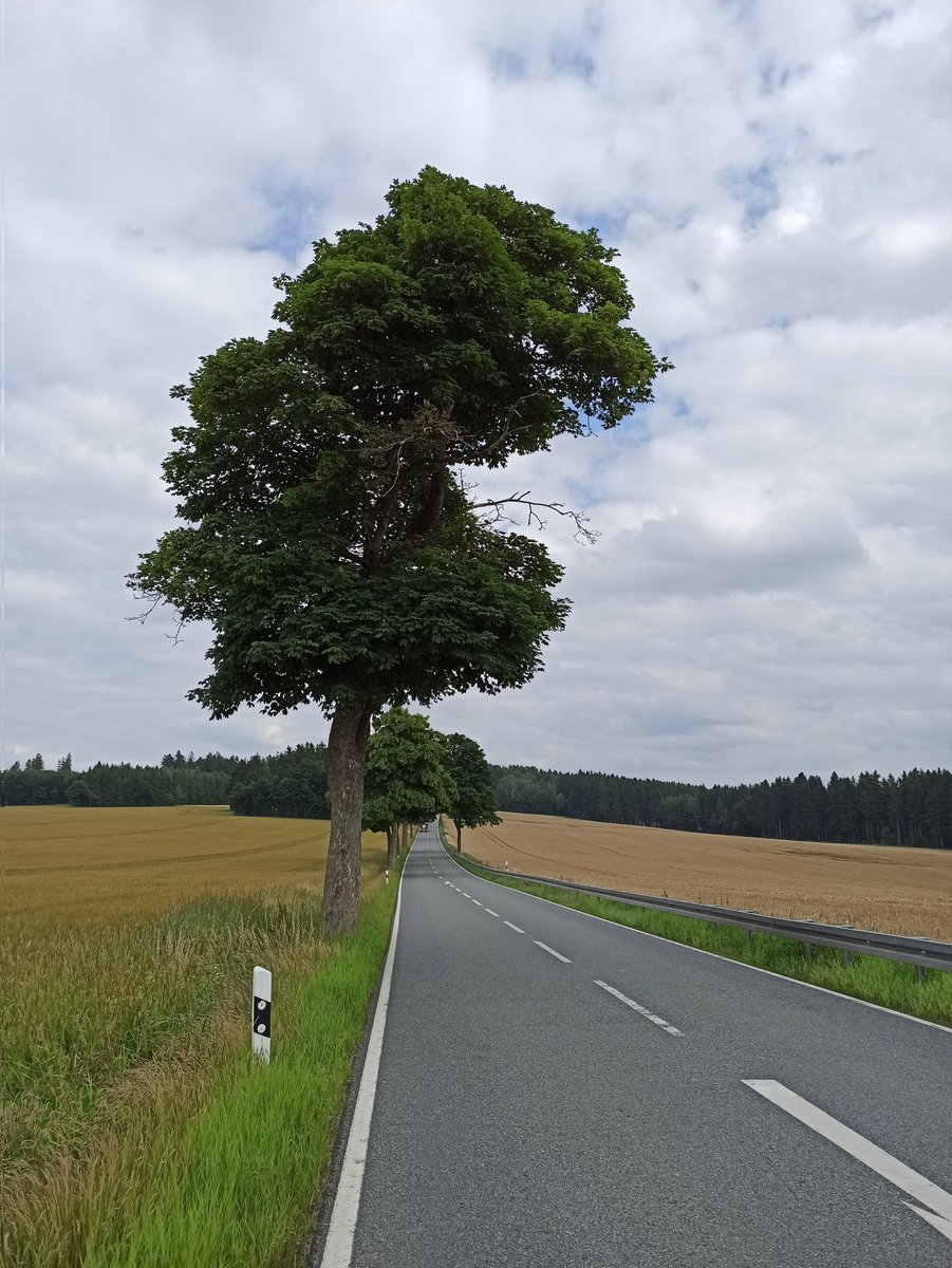 walkforeurope's tweet photo. #walkforeurope #freiberg #frauenstein
#germany #EU #europeans #europeancitizens #europeancitizens #unitedindiversity #bettertogether #strongertogether #walk #europeanwalk #walking https://t.co/DhQg5Ye4U9
