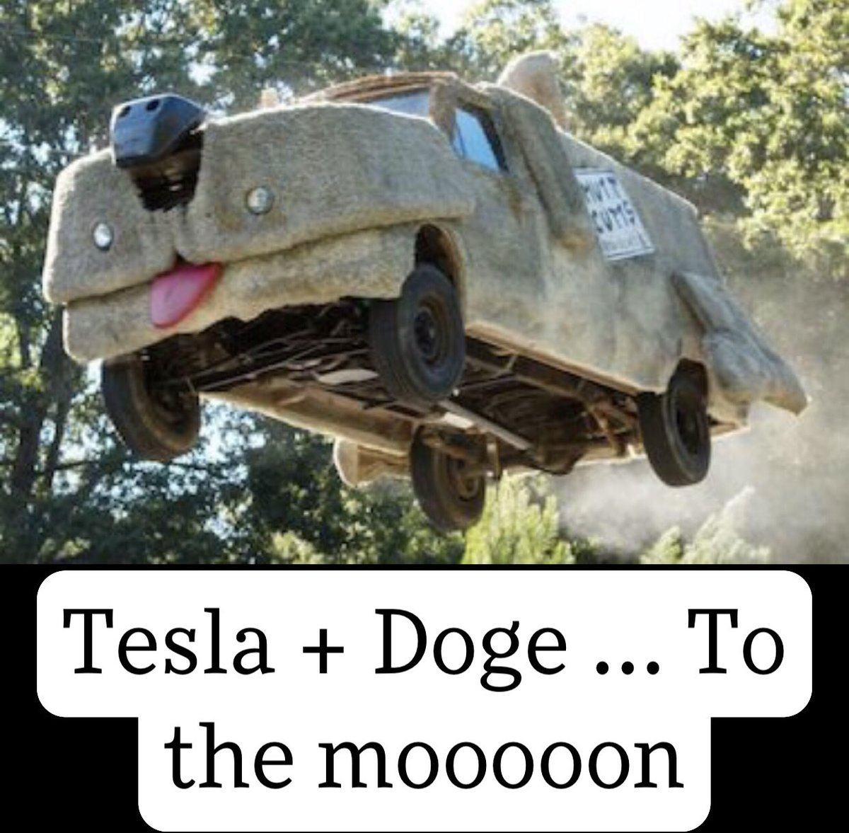 TheGreatBenVino's tweet photo. @elonmusk @Tesla @dogecoin #doge #dogecoin #dogecan #dogearmy https://t.co/VTkVzw6tmZ