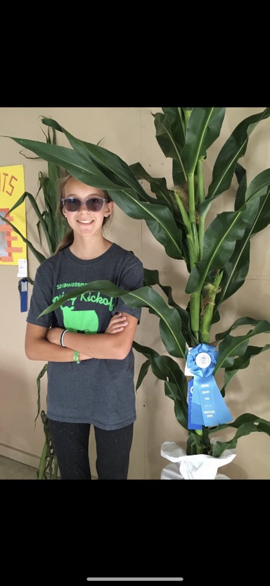 NK2043-3120 for the win!! Best in show at the Arenac County Fair “Lil D”Schwab looks small next to the winner.  We look for 0243 to once again dominate in trials and the field.  <a href="/SchwabMatt/">Corn Grower</a> @NKGreatLakes <a href="/riehltimeagron2/">riehltimeagronomy</a> <a href="/Ryan_NK_OLeary/">Ryan O’Leary</a> <a href="/NKSeeds/">NK Seeds</a> <a href="/LukeRivir/">Luke Rivir</a> <a href="/StevensCorey14/">🇺🇸Corey Stevens🌽</a>