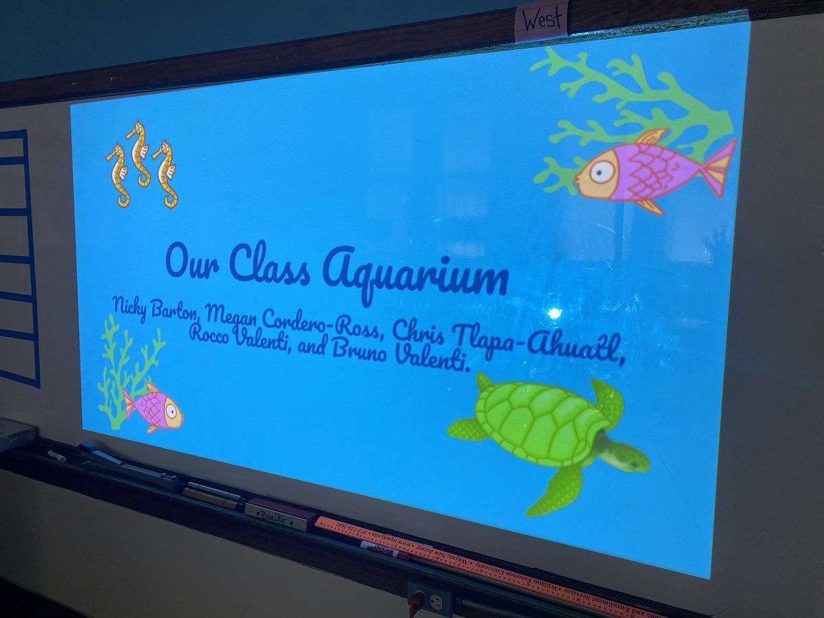 MissRegan8's tweet photo. Continuing with the Under The Sea theme, we retook a virtual tour of the Seattle Aquarium and then researched animals to create our own aquarium! https://t.co/zpzwOMiAXs