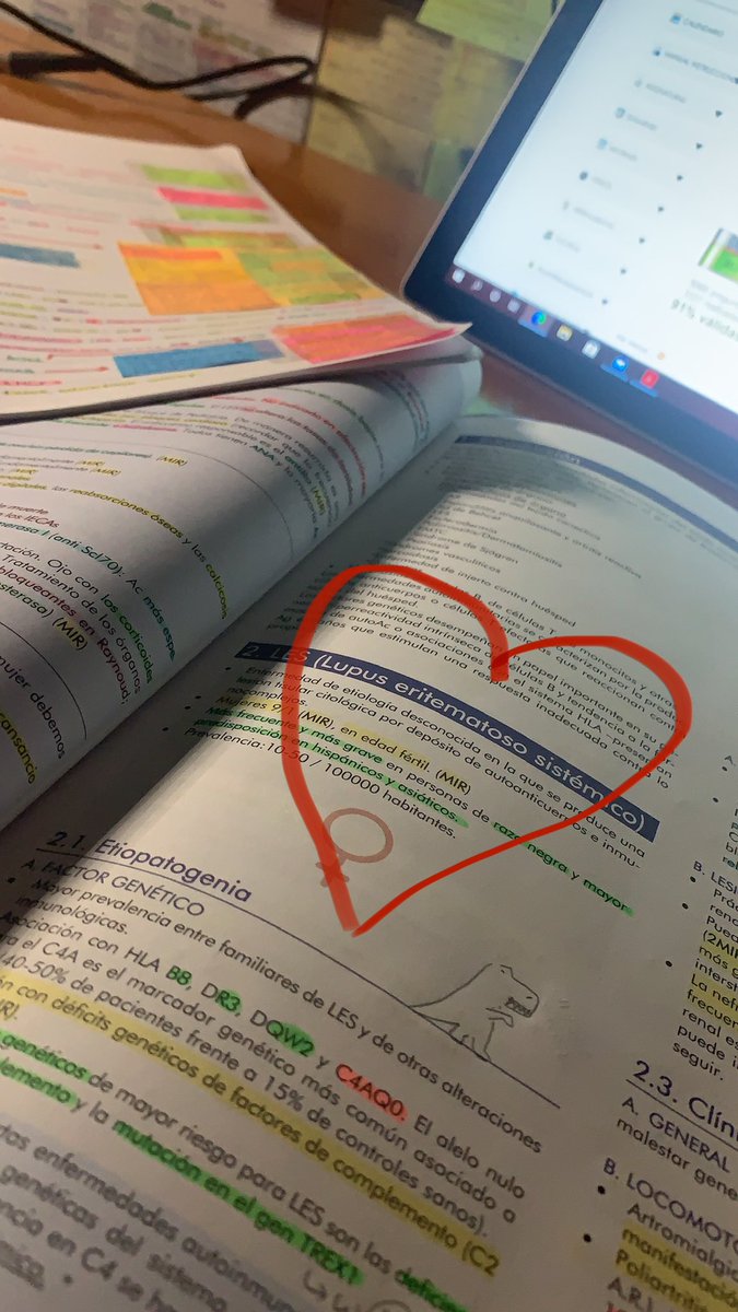 Neretxu106's tweet photo. @equipo_eas mejor rotación ❤️ https://t.co/3C8izykJoO