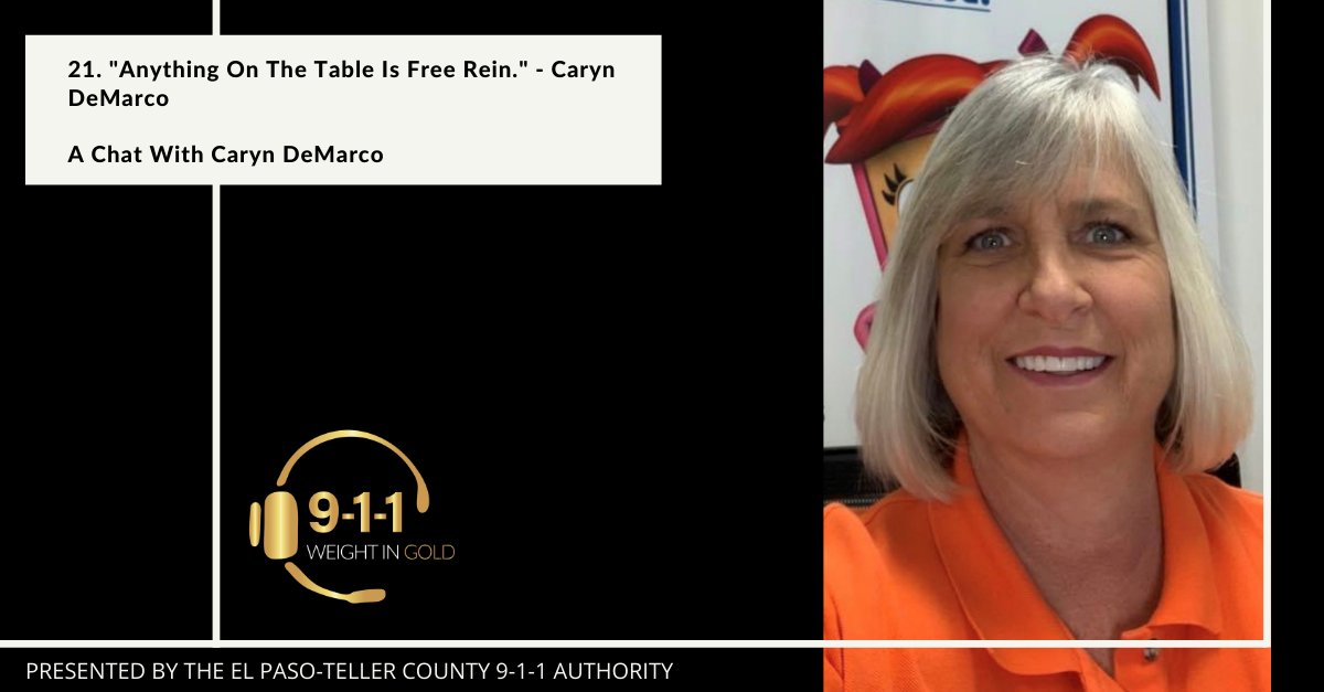 Public Speaking Tip #1: Know your audience. This tip is provided to you today by Caryn DeMarco, Office Administrator and Public Educator with Will County 9-1-1 Emergency Telephone System in Illinois. Hear more tips and experiences from the pro on the #911WeightinGold podcast!🚨💛